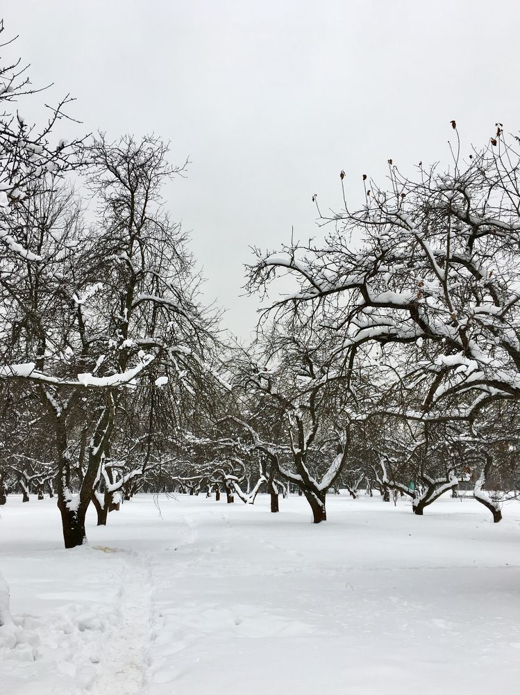 Photograph by Елена Макуха