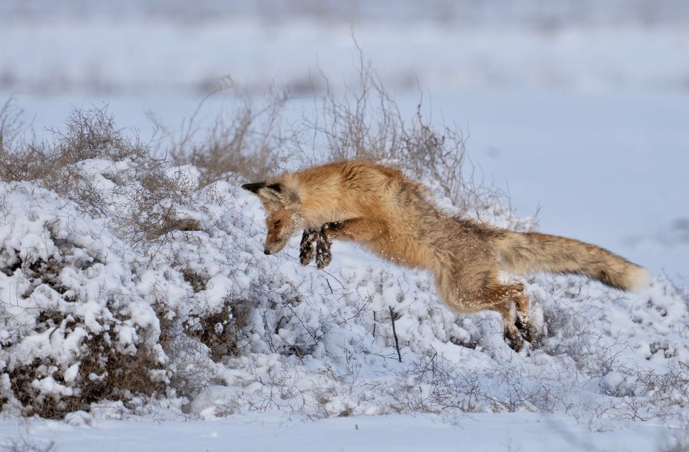 Photograph by Владимир Цветов