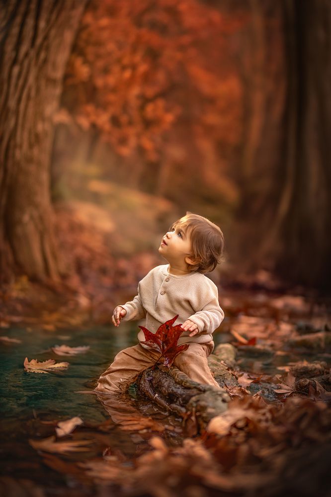 Photograph by yarden kaplan