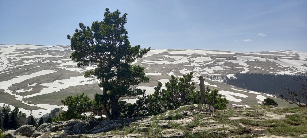 Photograph by Людмила Ярош