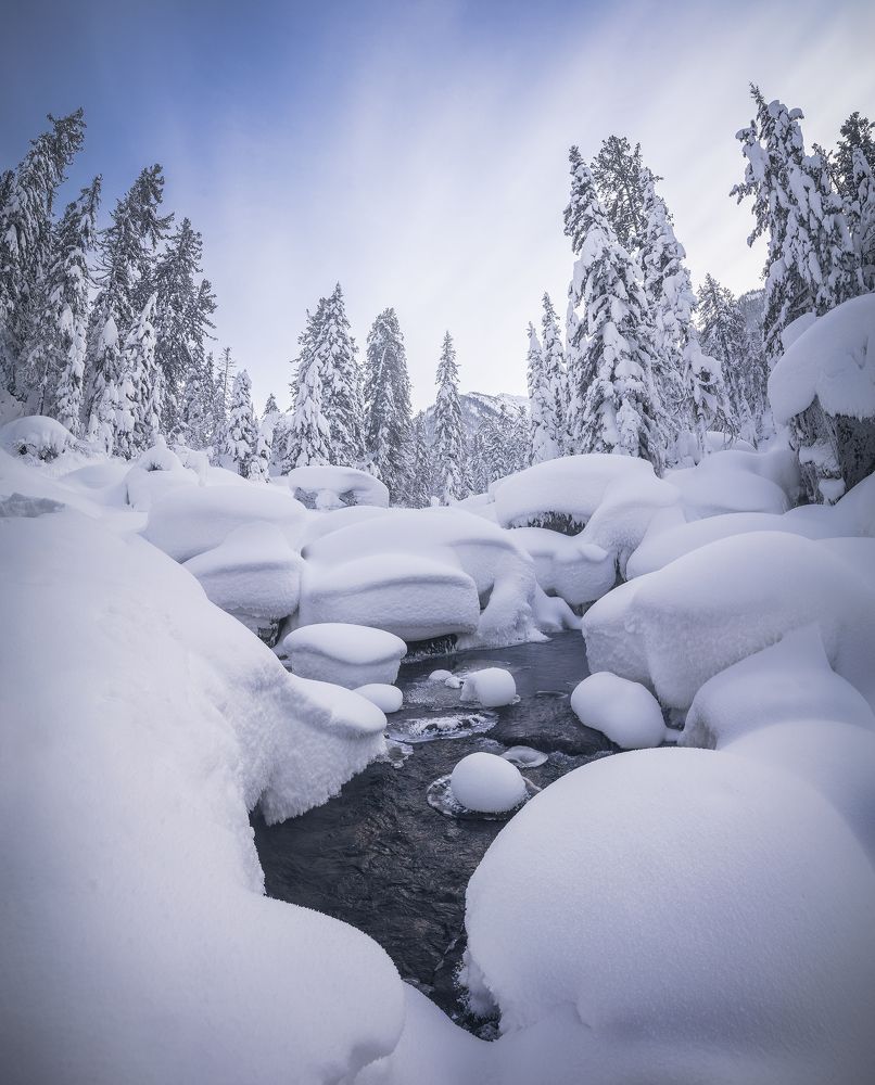 Photograph by Портных Дмитрий