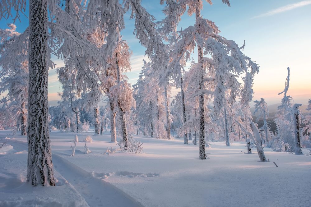 Photograph by Ирина Толокновская