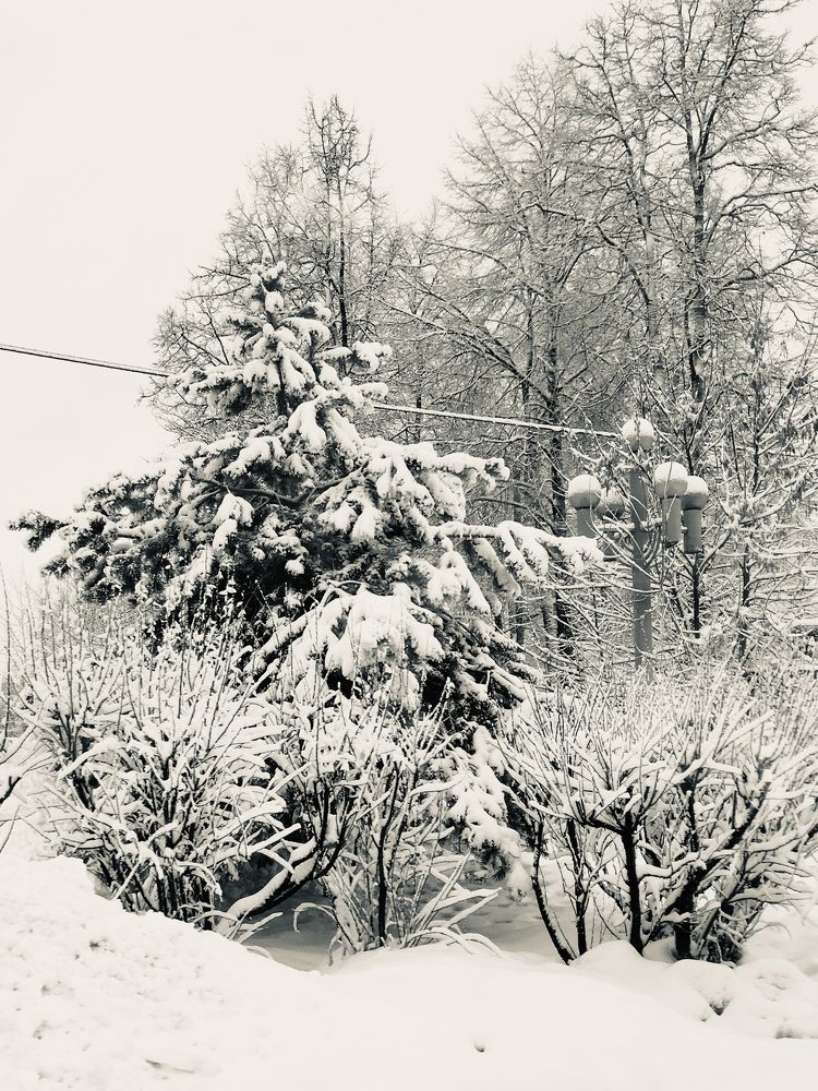 Photograph by Елена Макуха