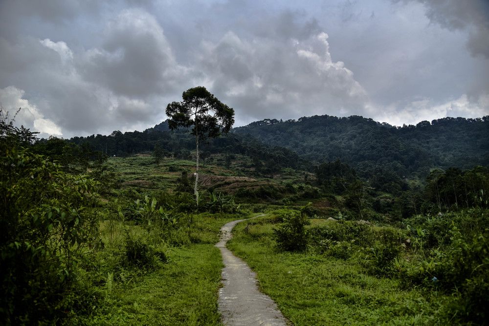 Photograph by Pujo Cahyono