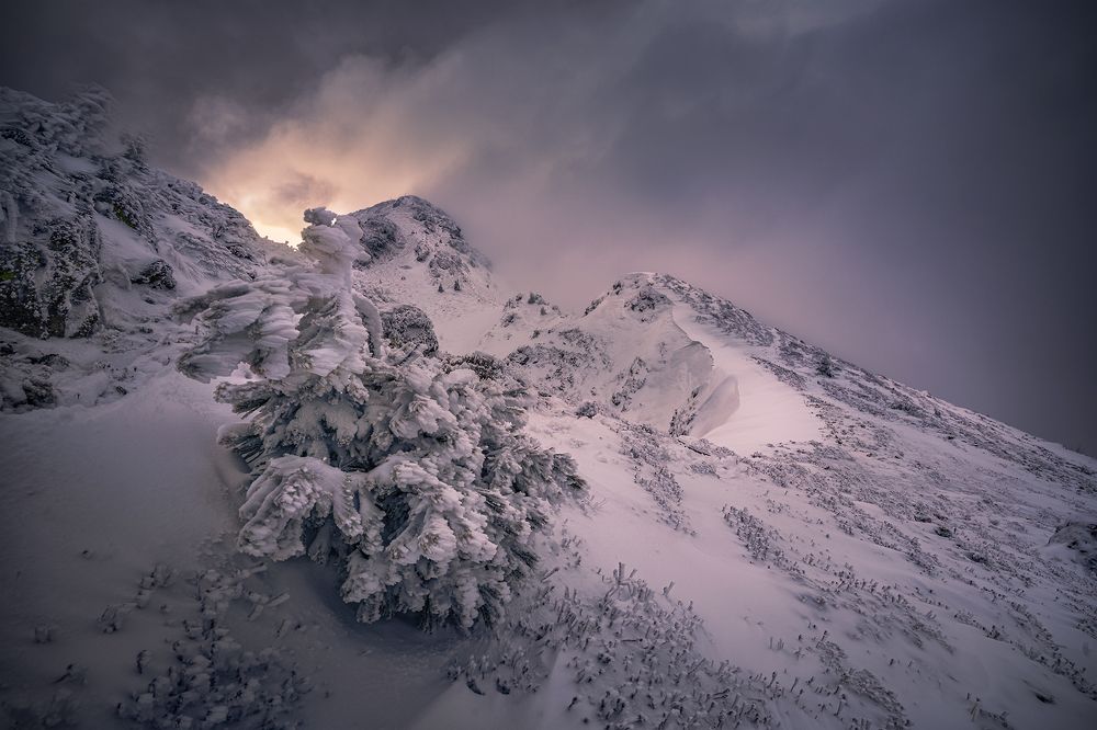 Photograph by Александров Александър