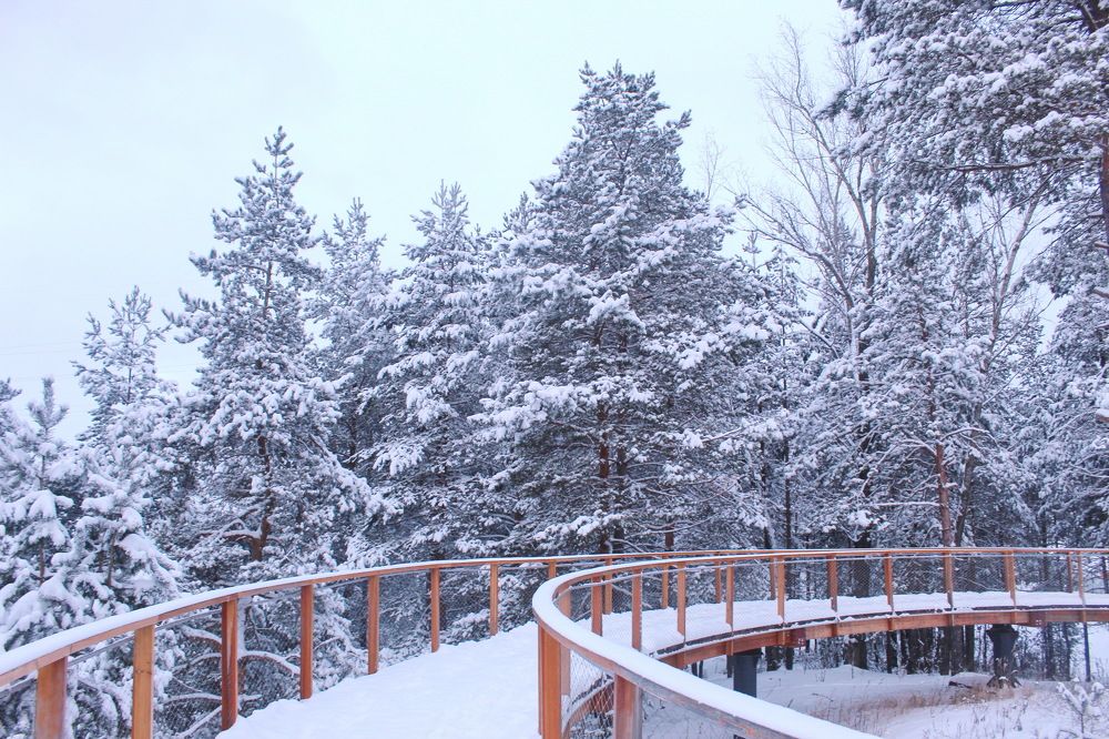 Photograph by Николай Леухин