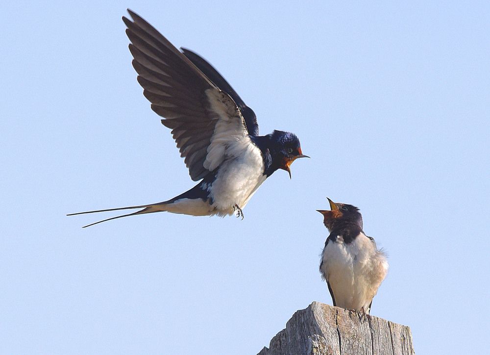 Вы здесь не сидели