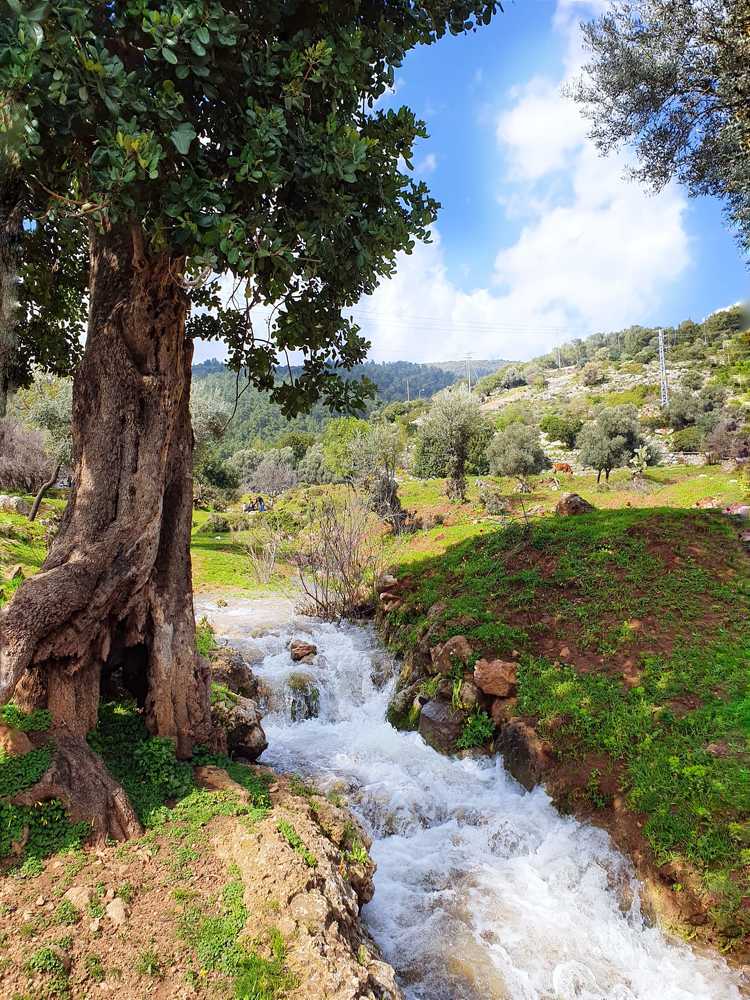 Photograph by Miller Galina