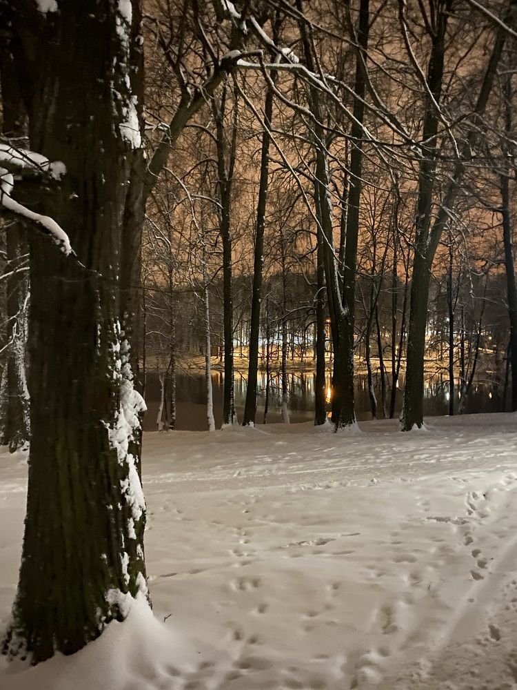 Photograph by Юлия Гавриленко