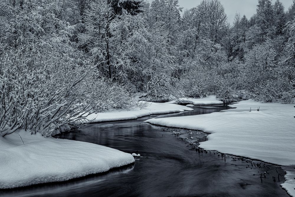 Фотография автора Михаил Кабанов