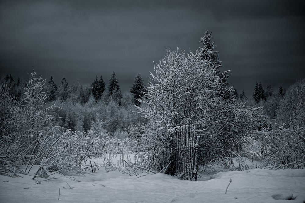 Фотография автора Михаил Кабанов