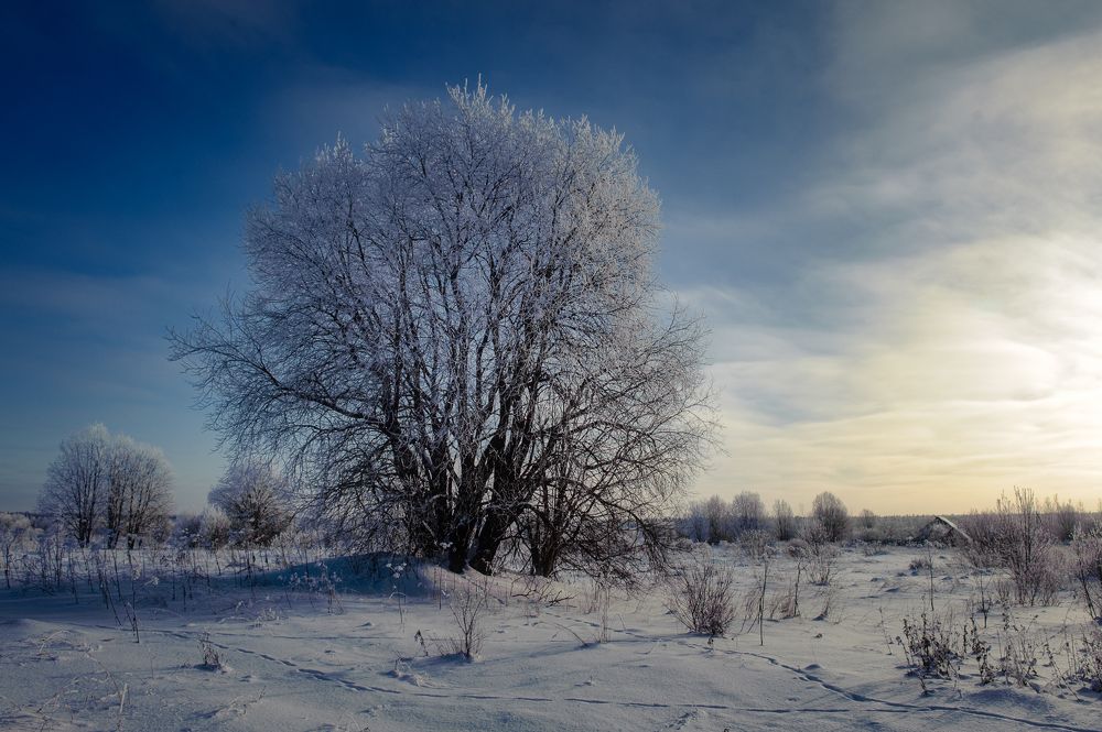 Фотография автора Михаил Кабанов