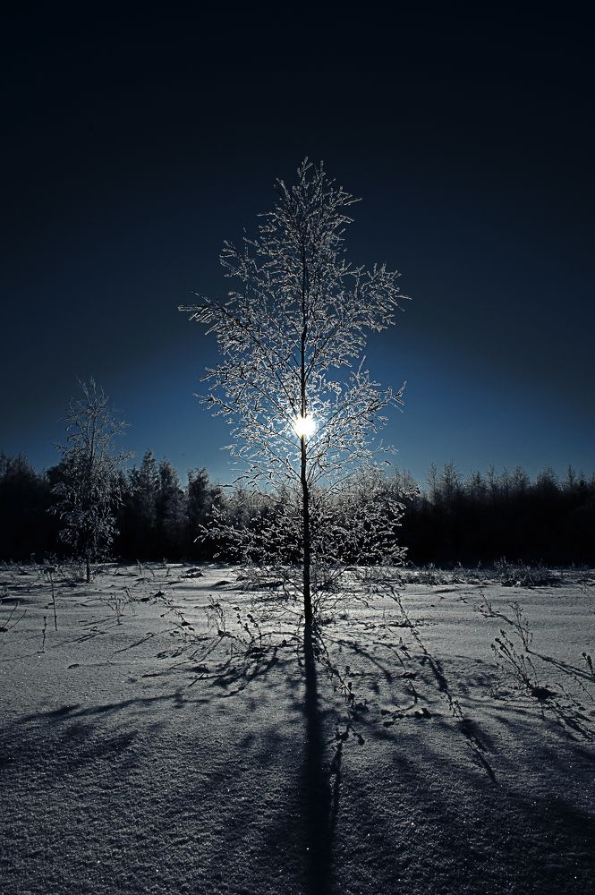 Фотография автора Михаил Кабанов