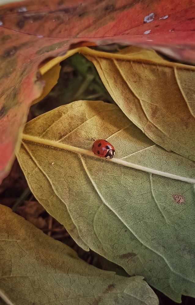 Photograph by Александр Косинский