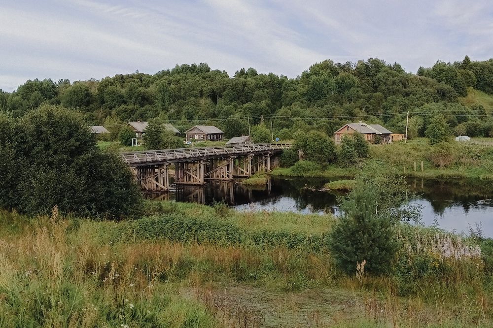 Фотография автора Larisa Meshkova