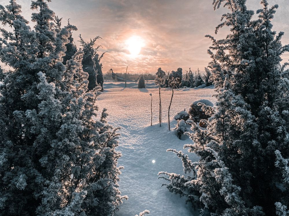 Photograph by Мария Королькова