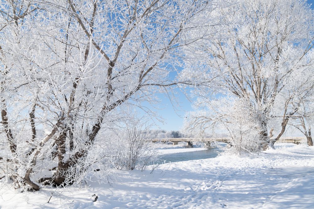 Photograph by Владимир Кваша