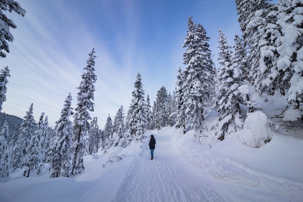 Photograph by Портных Дмитрий