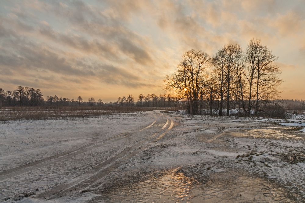 Photograph by Николай Кузьмин