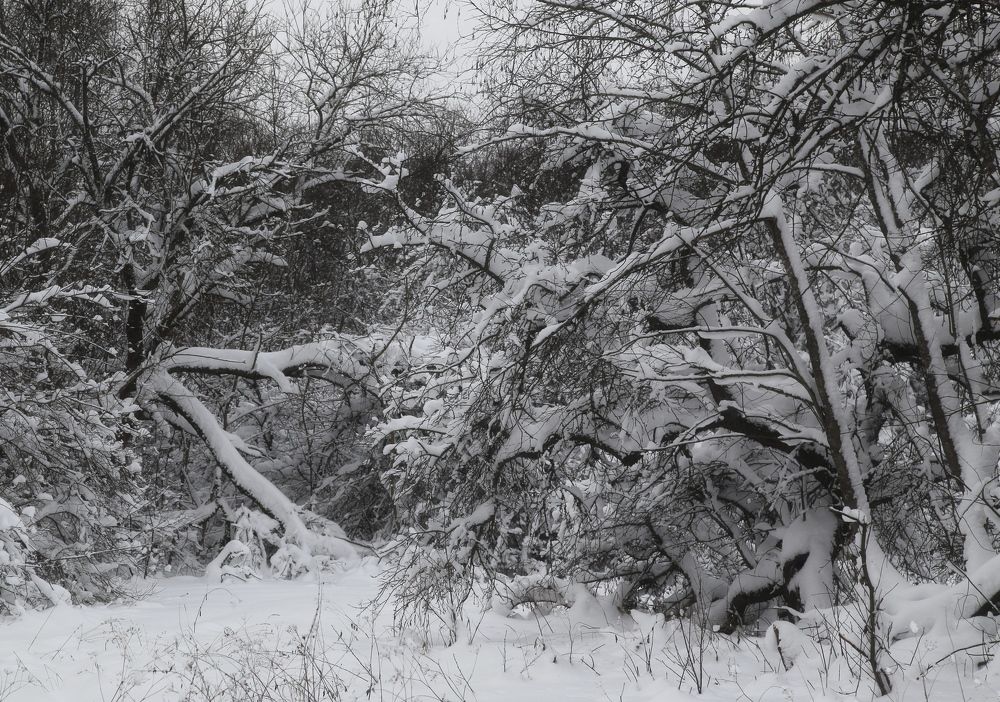 Photograph by Баринов Борис