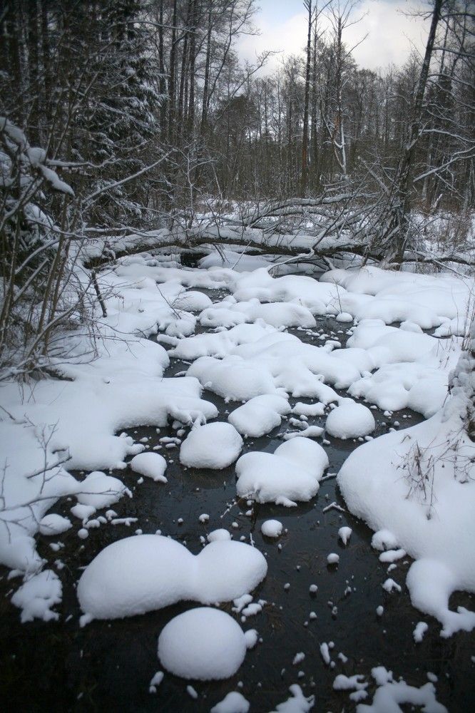 Photograph by Сергей Зятиков