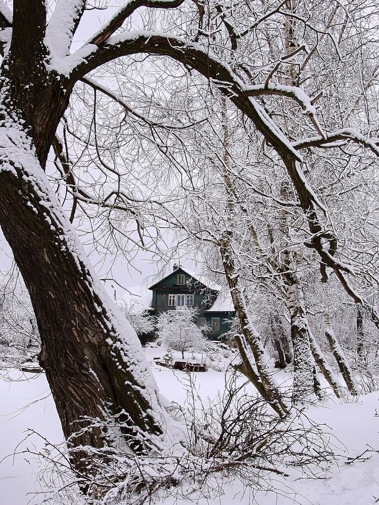 Photograph by Сергей Коваль