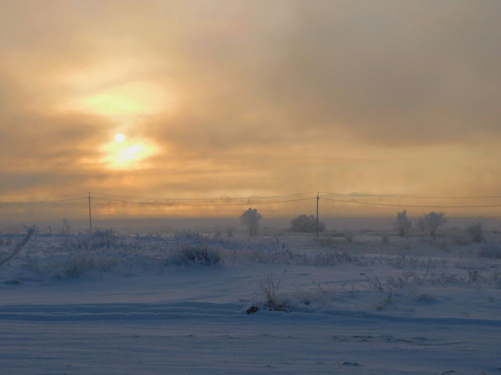 Photograph by Сергей Чеченов