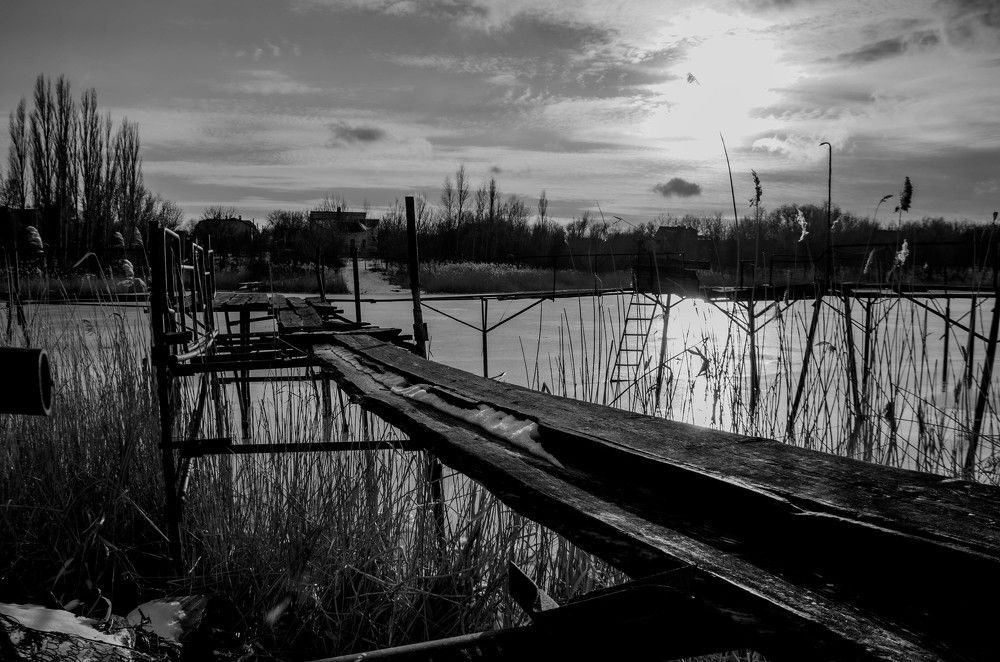 Photograph by Оля Бабухина