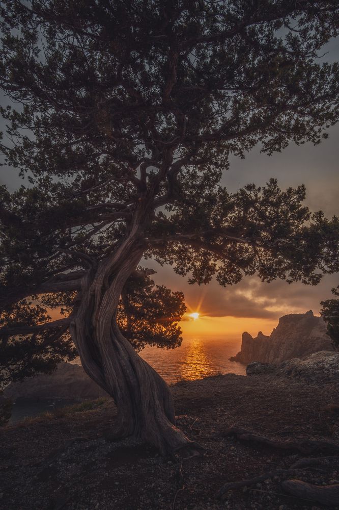 Photograph by Кривцов Андрей