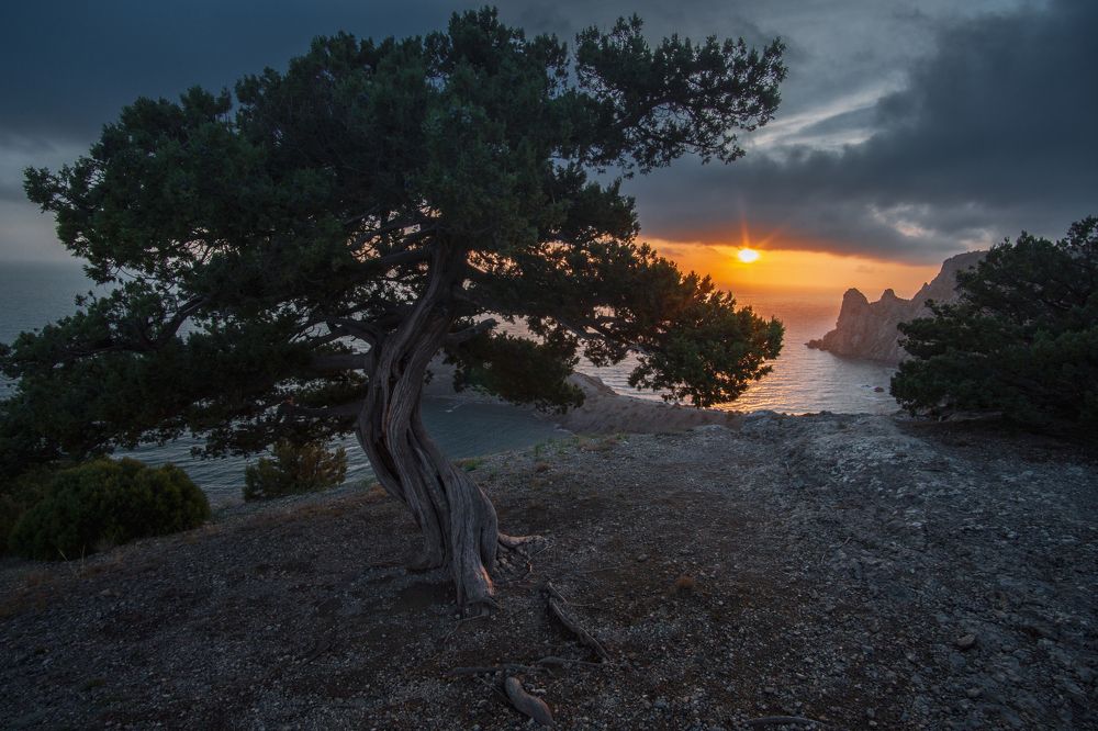 Photograph by Кривцов Андрей