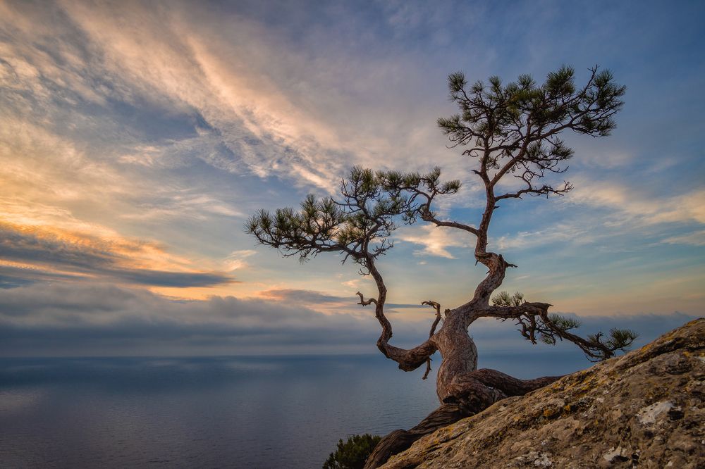 Photograph by Кривцов Андрей