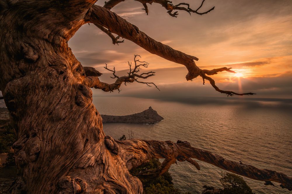 В золоте рассвета