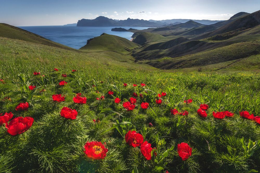 Photograph by Николай Кононов