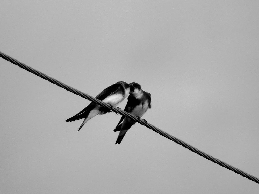 Photograph by Екатерина Филина