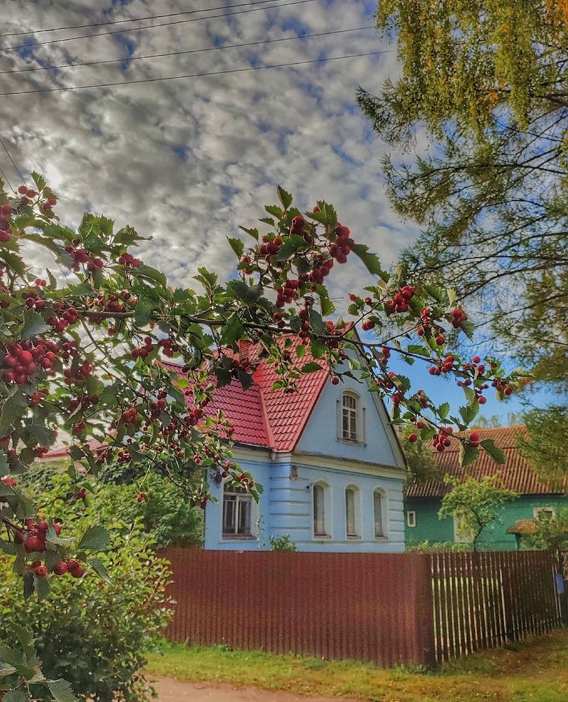 Photograph by Татьяна