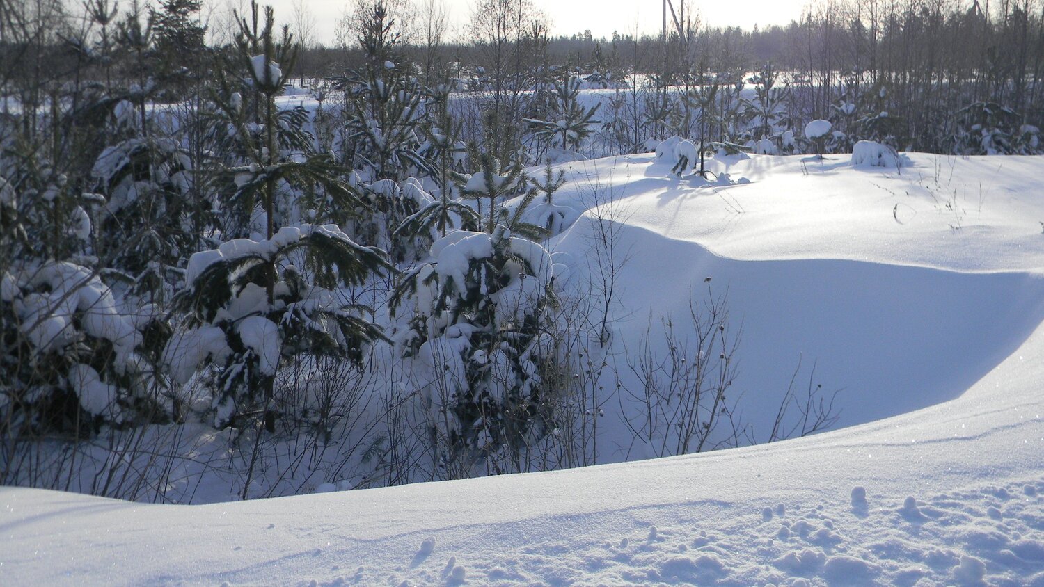 Photo #10135052