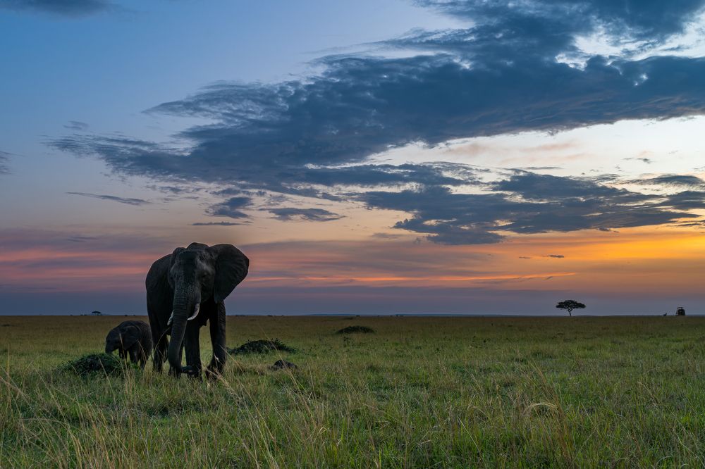 Photograph by Sunil Dhar