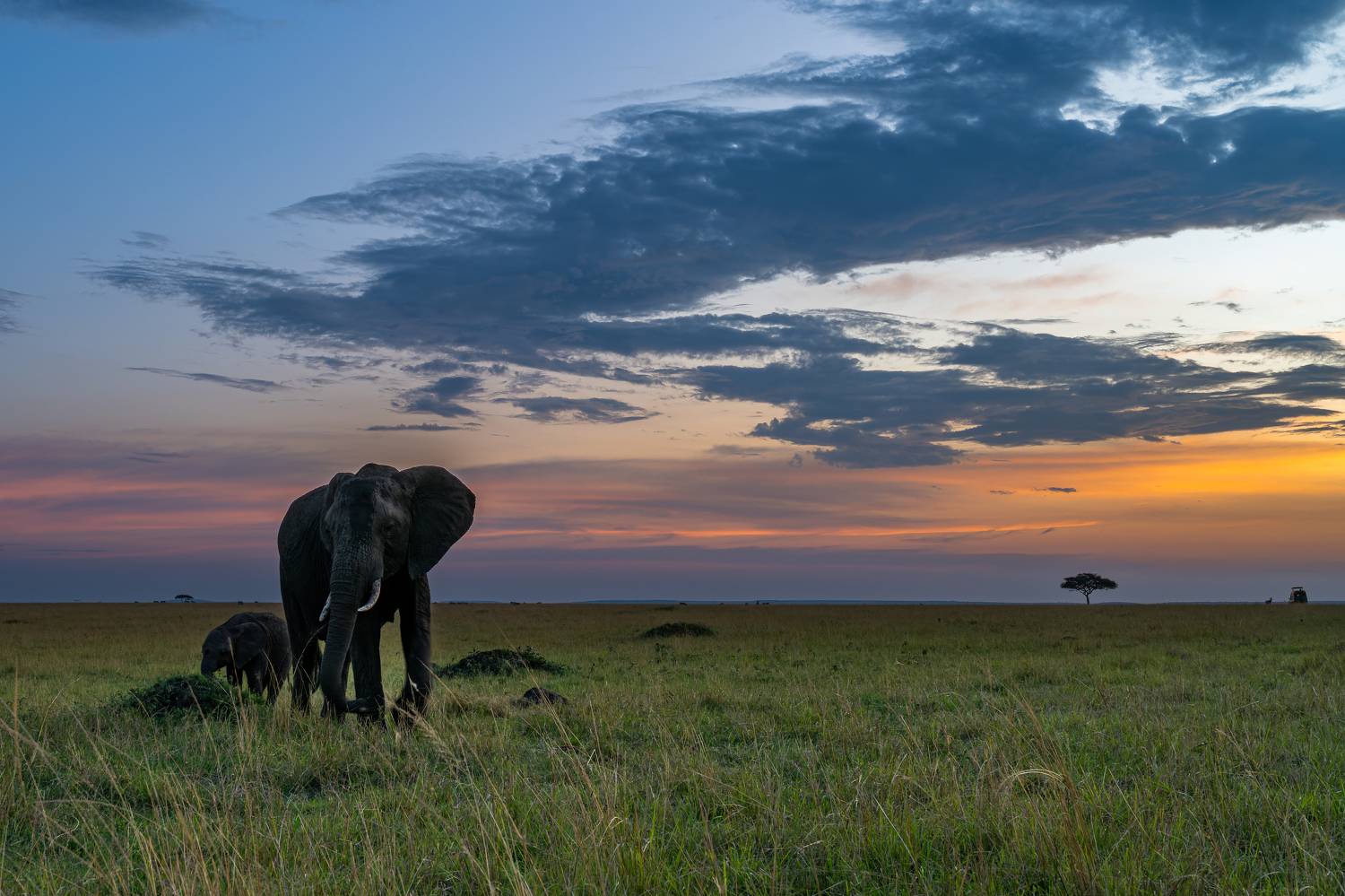 Фотография #10135071