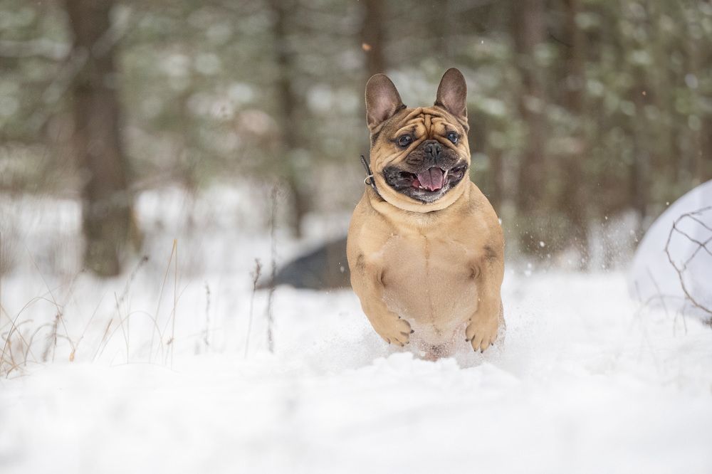 Photograph by Елена Якусева