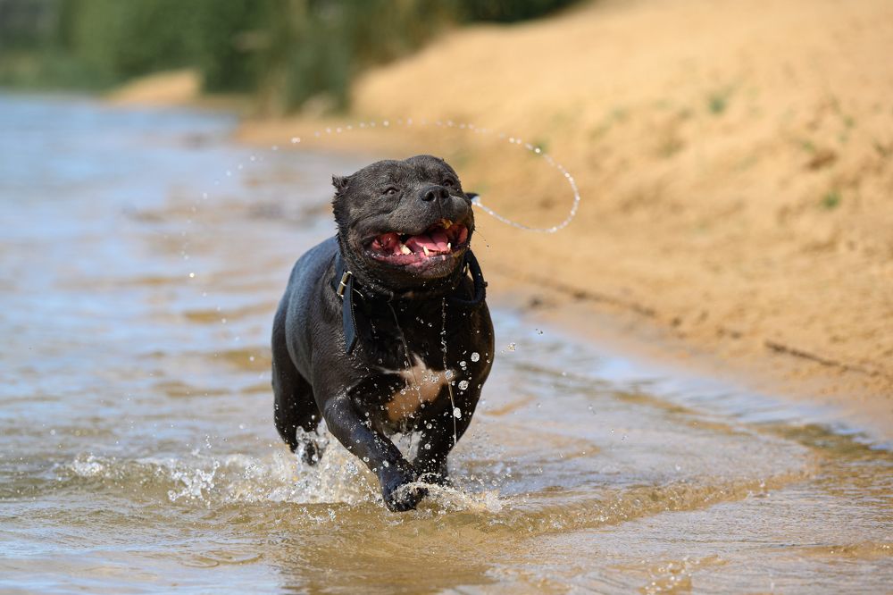 Photograph by Елена Якусева