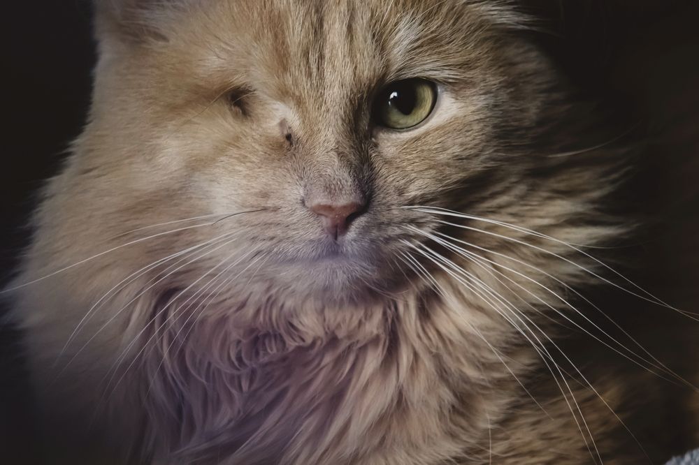 Photograph by Наталья Канарейкина