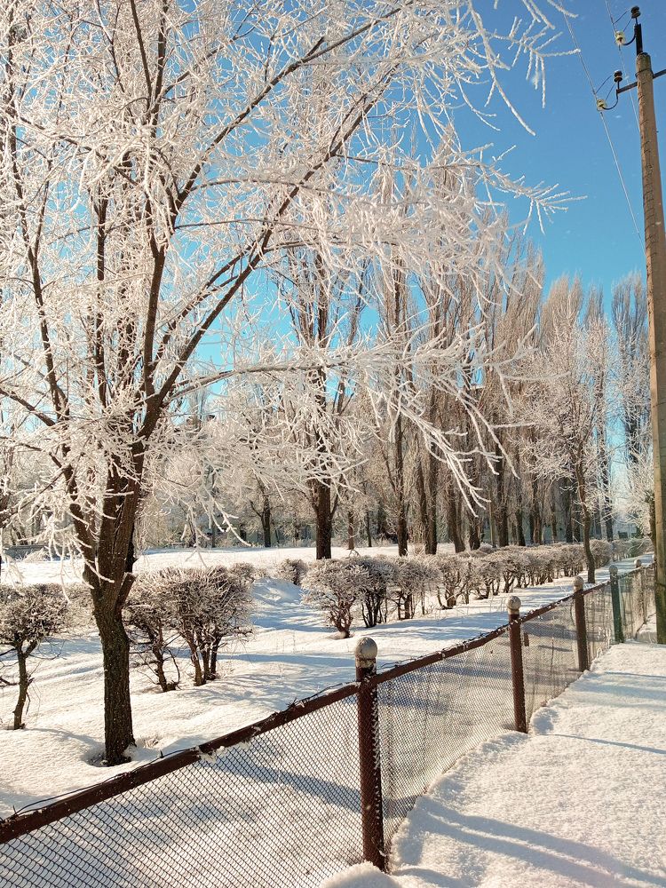 Photograph by Елена (Мори) Кузнецова