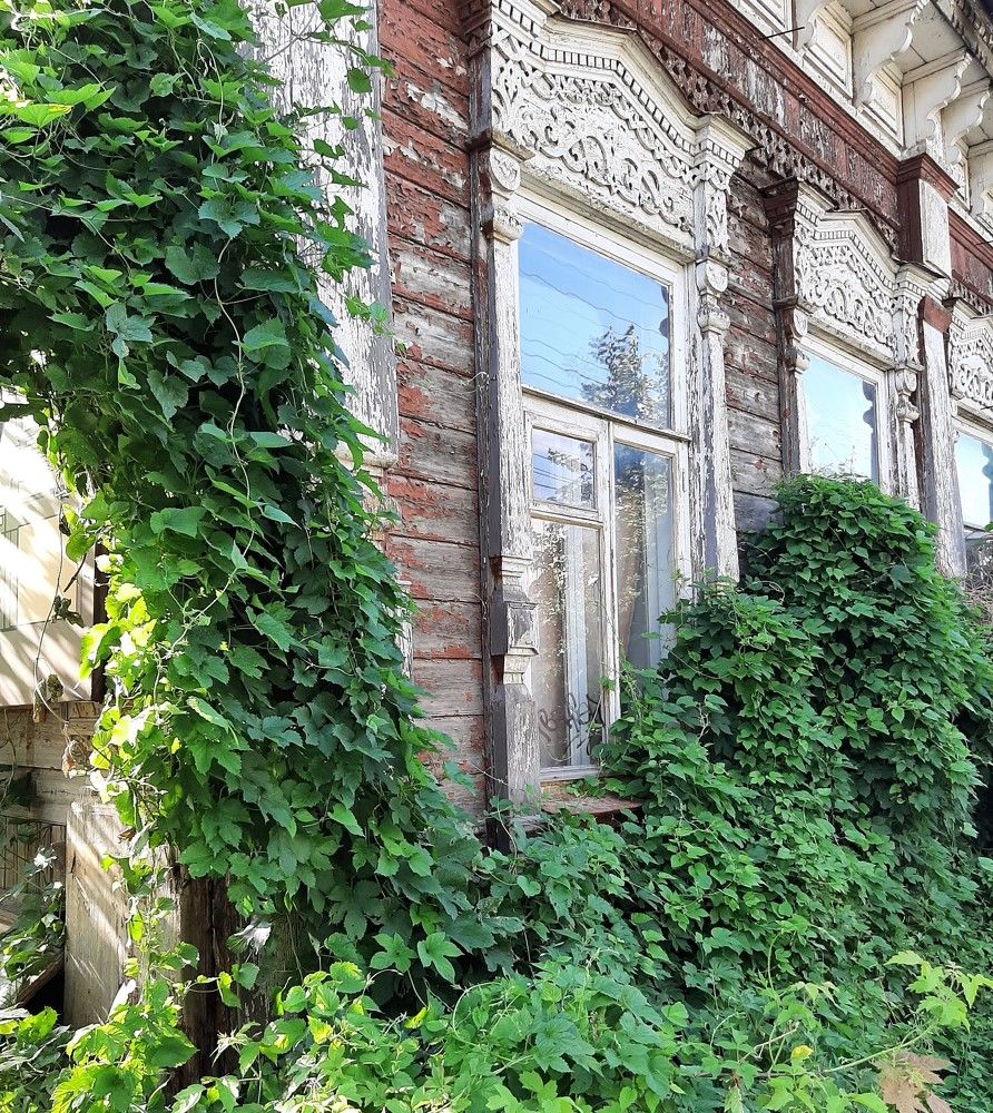 Photograph by Елена Горева