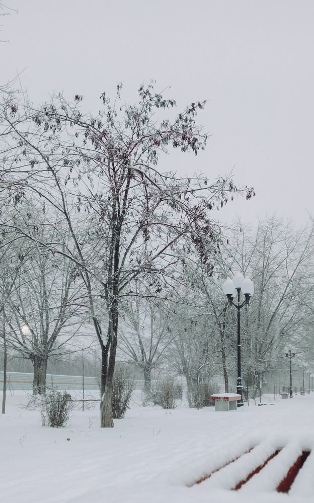 Photograph by Елена (Мори) Кузнецова