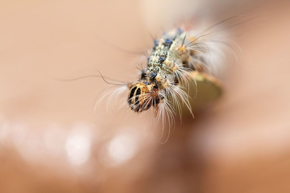 Photograph by Екатерина Топорова