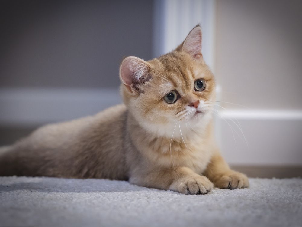 Photograph by Олег Дорошенко