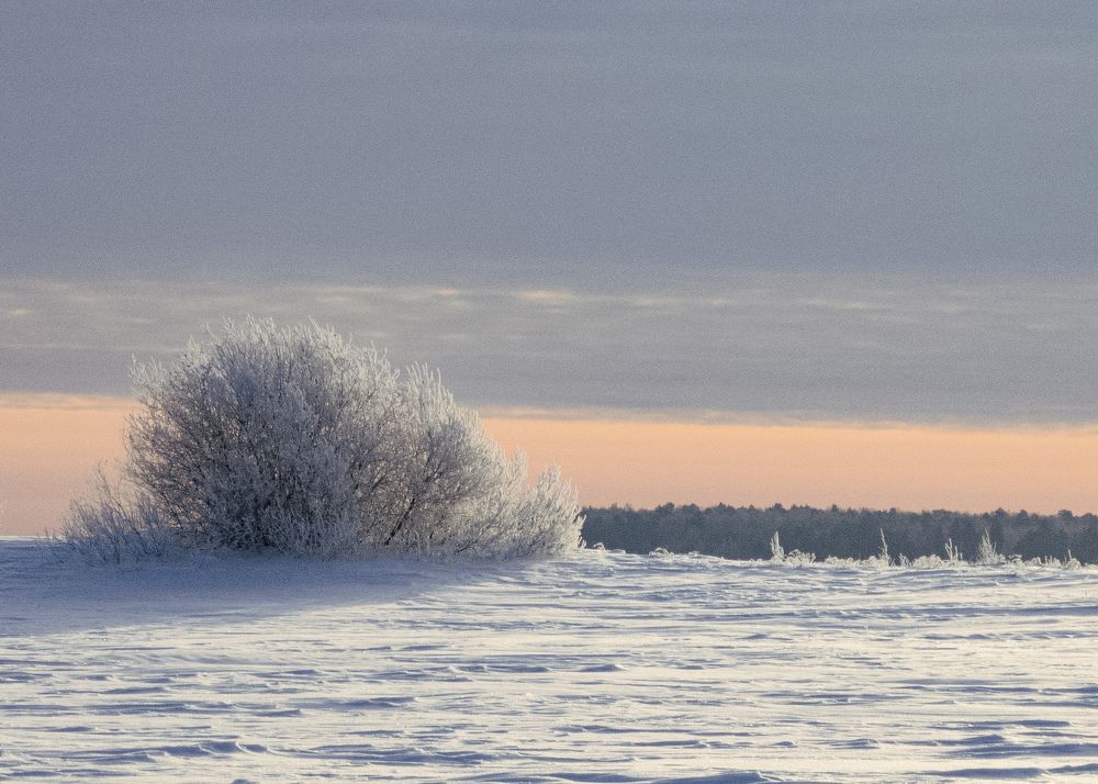 Photograph by Андрей Миронов