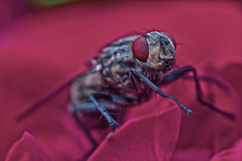 Photograph by Александр Стрельченко
