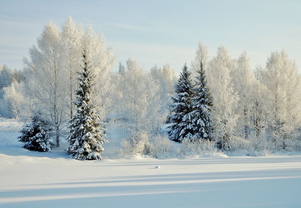 Photograph by Решетников Виктор