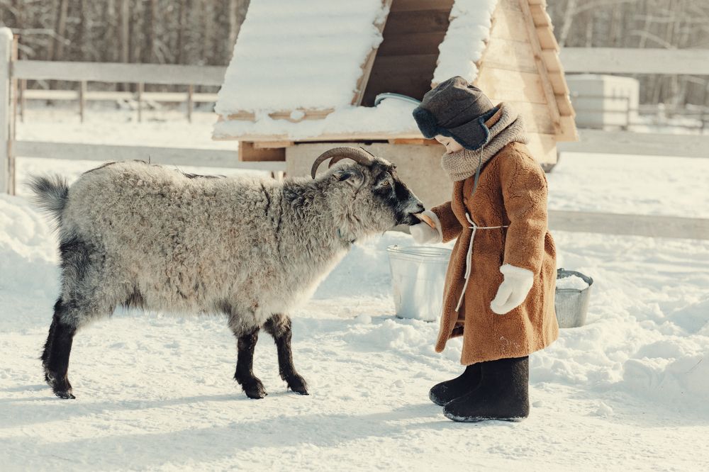 Photograph by Ященко Анастасия